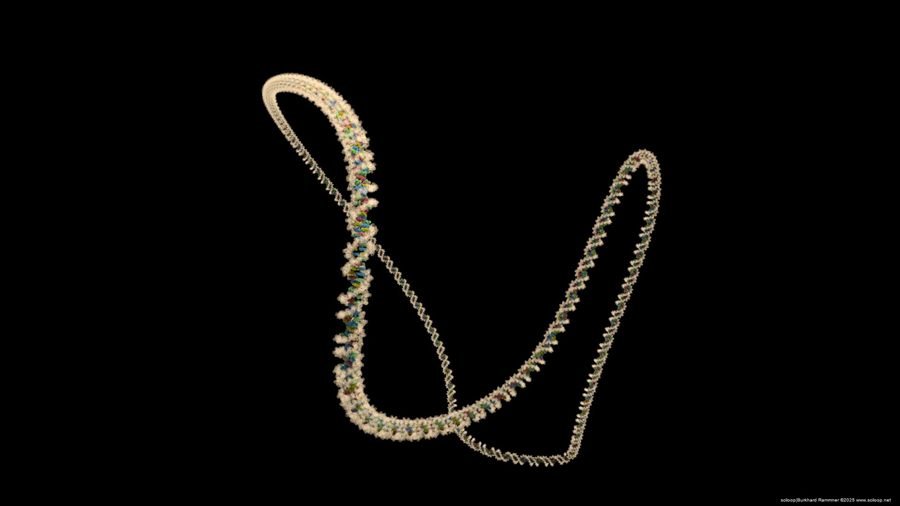 Nucleic Acid Filament 2