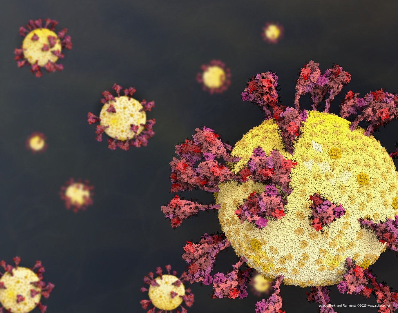 SarsCov2 severalViruses