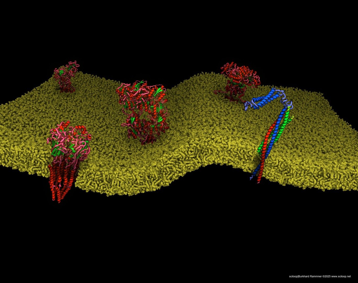 Bg proteins 06