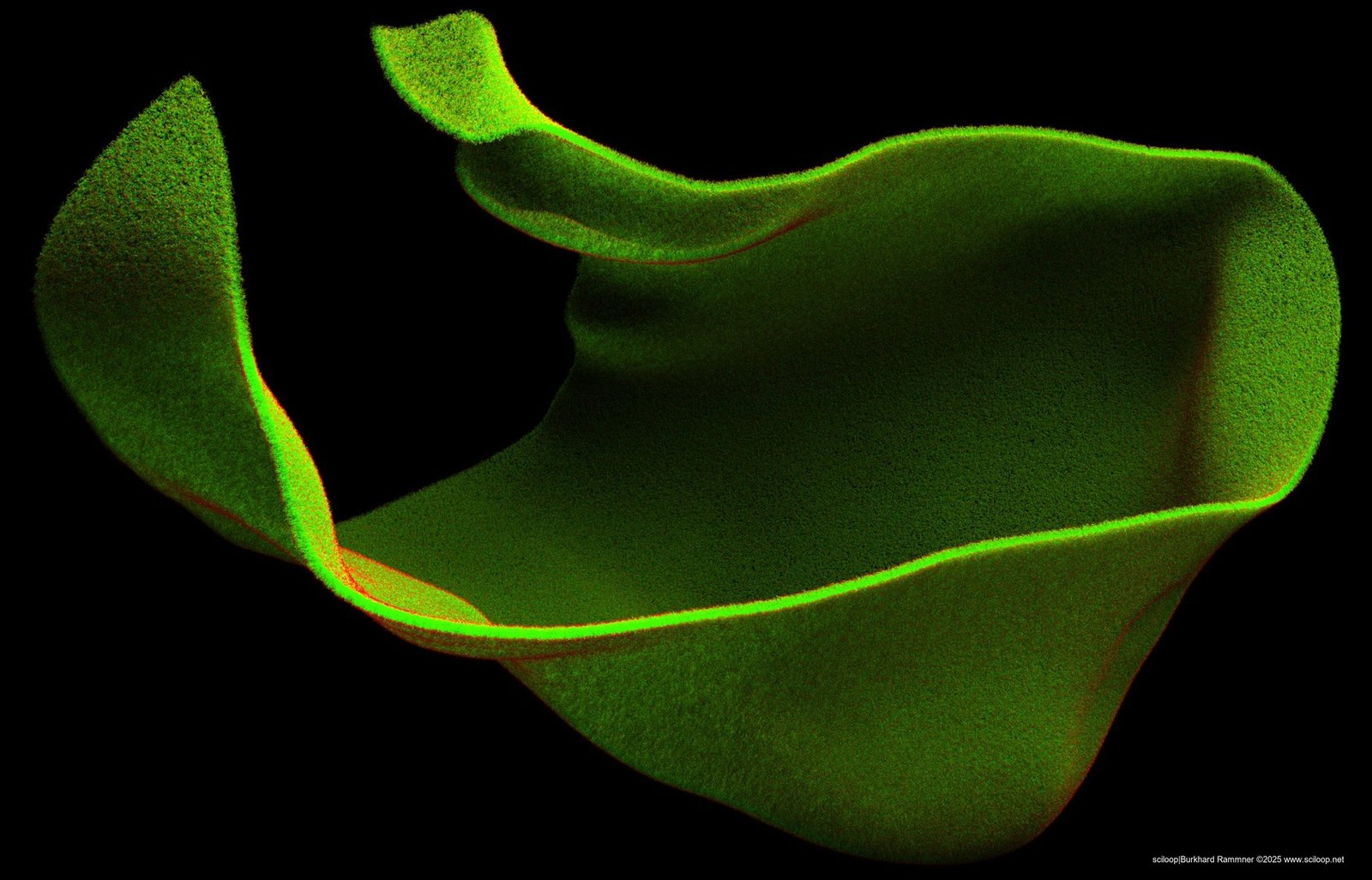Membrane 09
