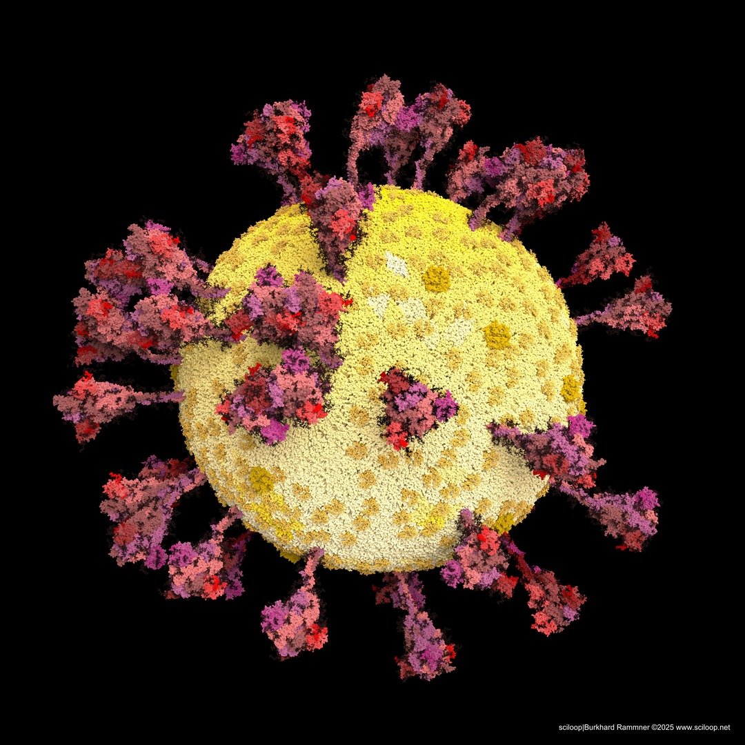 x SarsCov2 singleVirus black bg
